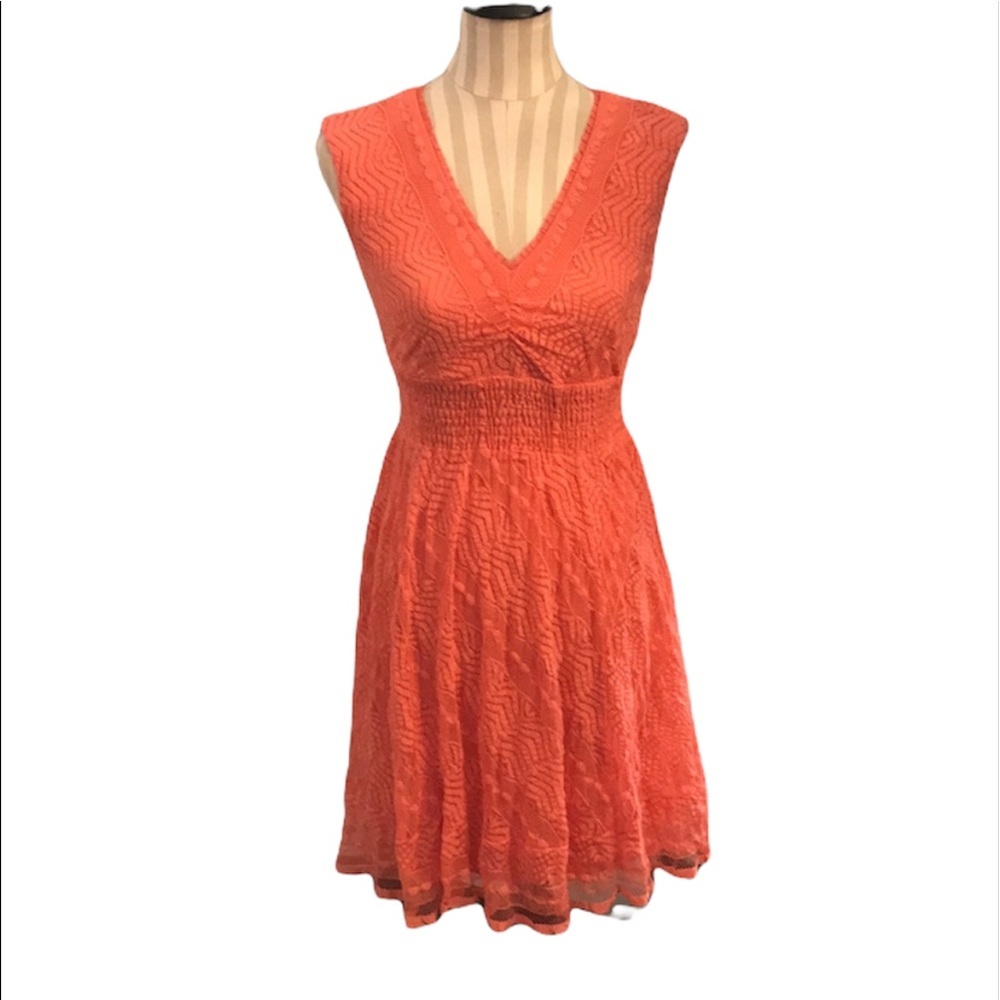 Roz & Ali Peach Lace Dress Size 6P NWT